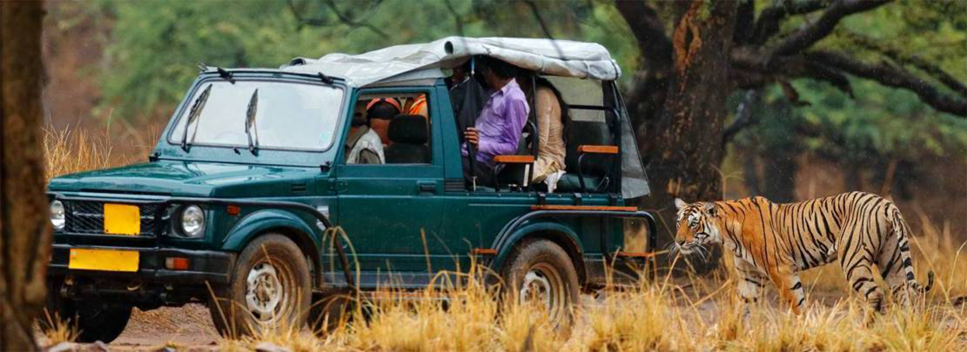 Safari Booking at Pilibhit Tiger Reserve